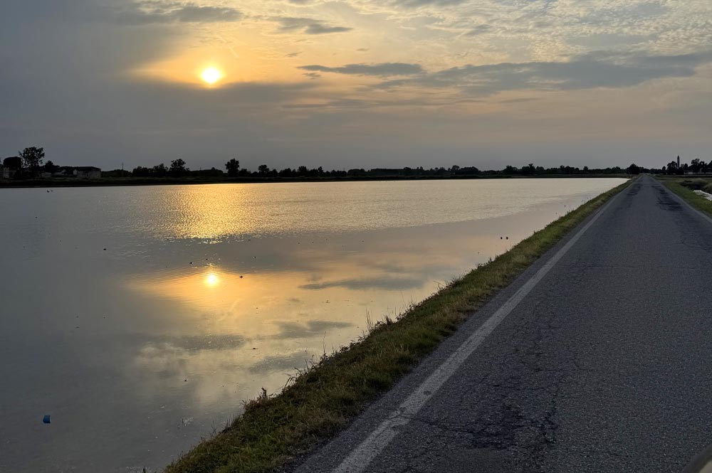 Risaia biologica allagata