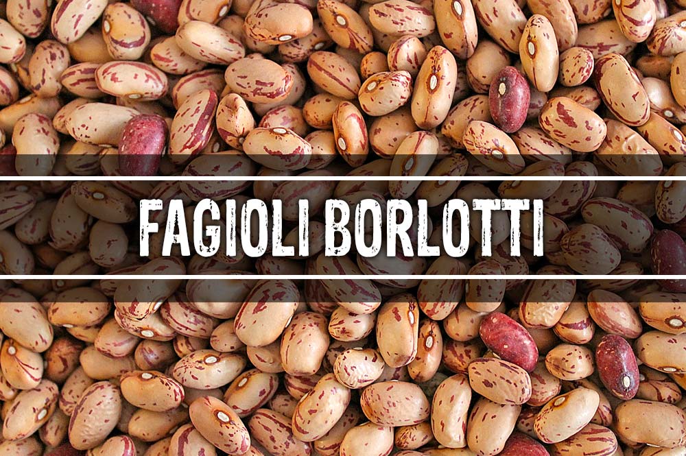 Legumi - fagioli borlotti