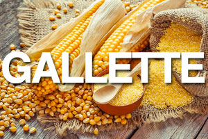Gallette