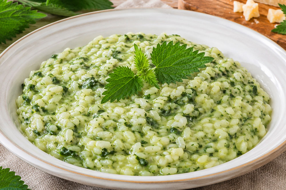 Risotto alle ortiche