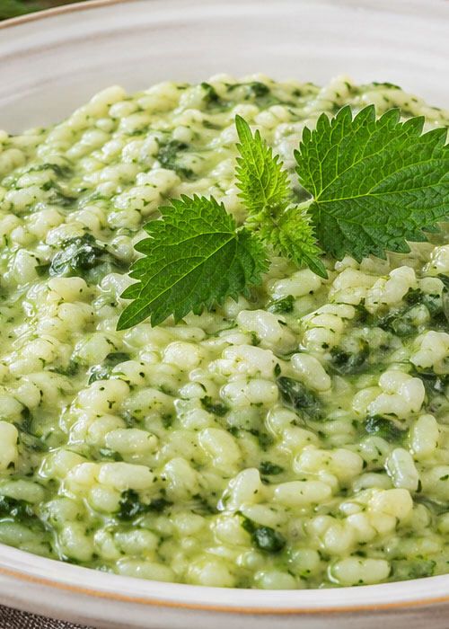 Risotto alle ortiche