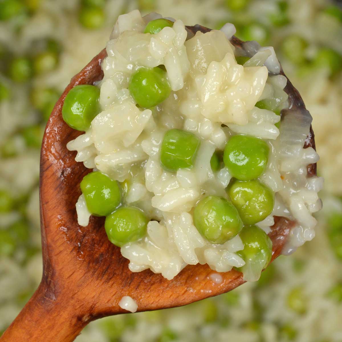 Risi e bisi