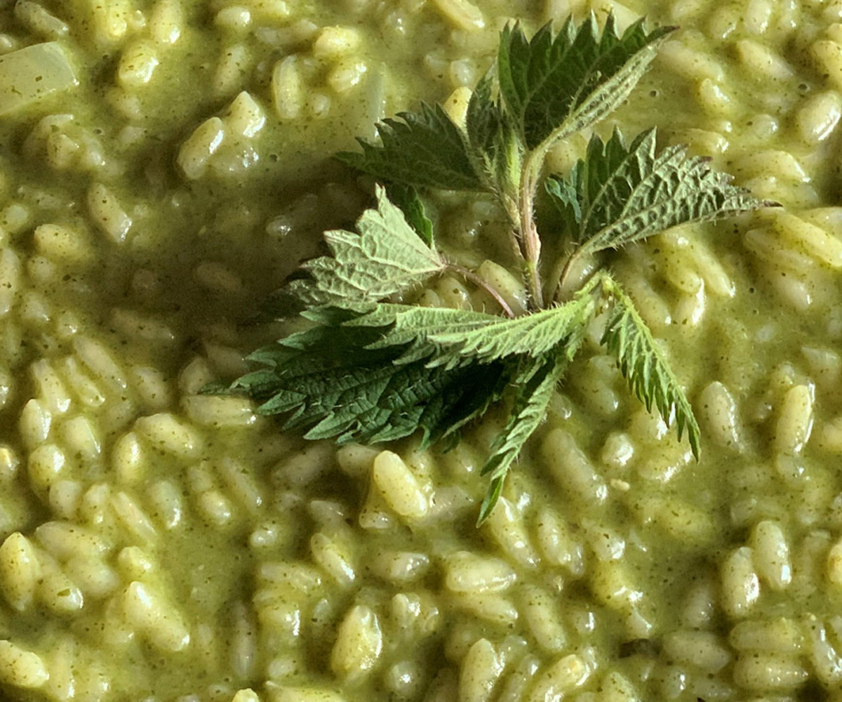 Risotto alle ortiche