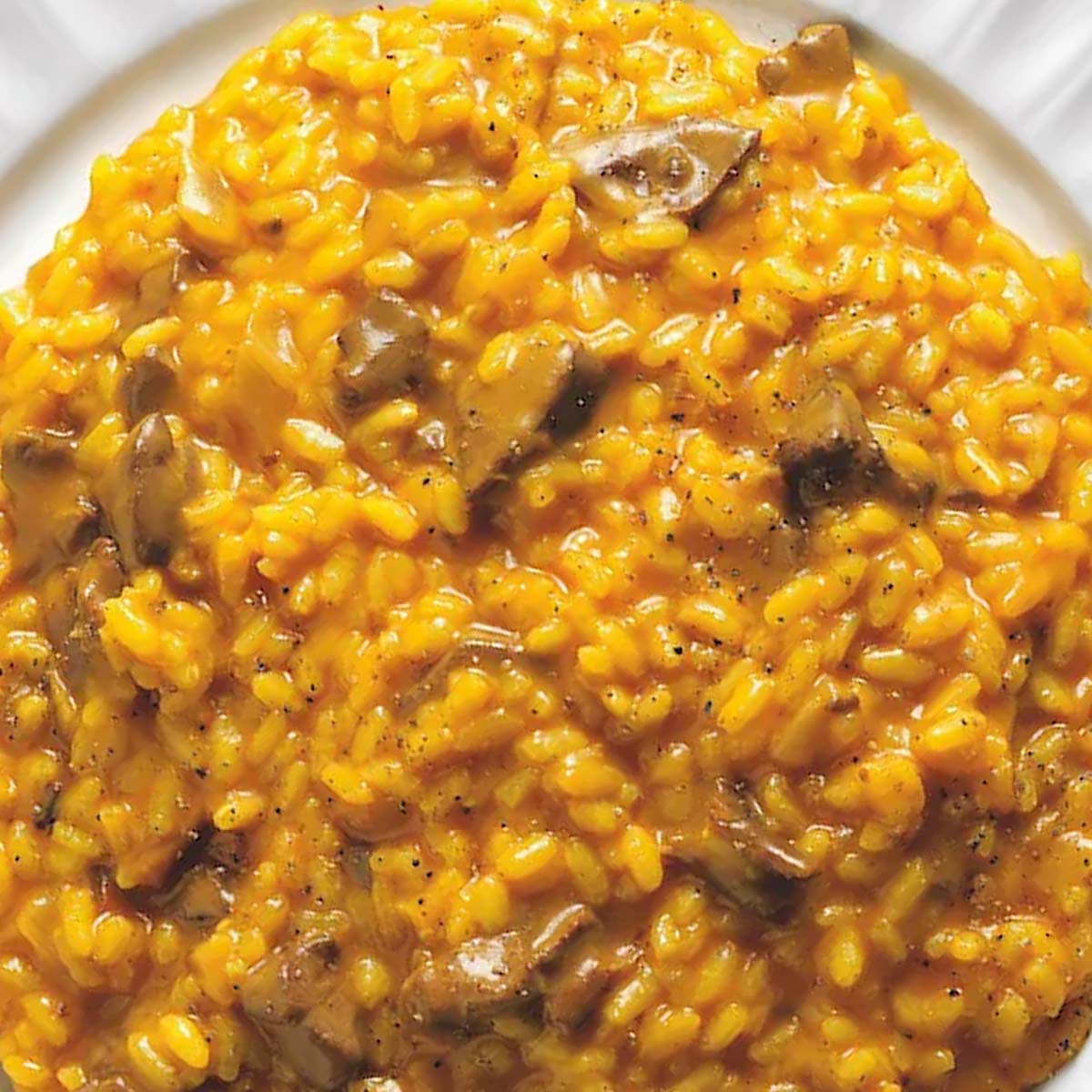 Risotto romagnolesco.jpg