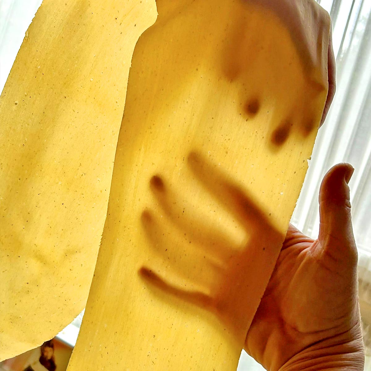 Ravioli del plin